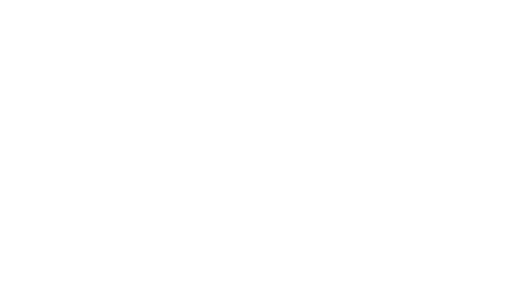 Ninja Mastery
